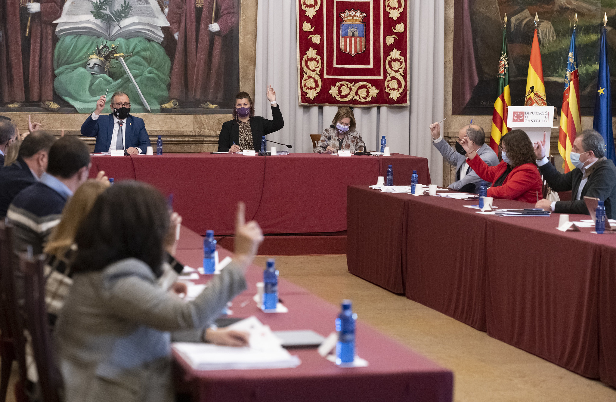 La Diputació insta a crear un Pla de Salut Mental per a eliminar tabús i fomentar el tractament