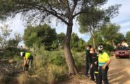 Alcalà-Alcossebre aprova la revisió del Pla de Prevenció d'Incendis Forestals i el Pla Local de Cremes