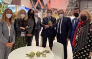 Planas anuncia un paquet de mesures de suport al sector agrari per a fer front a la sequera
