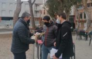 Peníscola s'activa per a desplaçar les masses d'ocells en l’arbratge del nucli urbà cap a zones verdes pròximes
