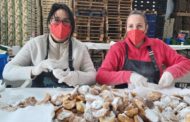 La Confraria de Sant Antoni de Benicarló continua amb els preparatius de la Festa