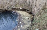 Apnal-Ecologistes en Acció de Vinaròs denúncia que 'els nostres aiguamolls segueixen amenaçats'