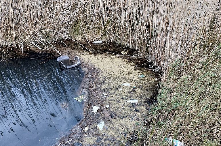 Apnal-Ecologistes en Acció de Vinaròs denúncia que 'els nostres aiguamolls segueixen amenaçats'