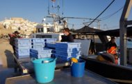 El Consell impulsa 39 projectes d'investigació sobre aqüicultura, monitoratge marí i turisme costaner