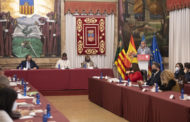 La Diputació insta el Govern d'Espanya a suspendre la tramitació de la planta fotovoltaica ‘Magda’