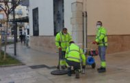 Vinaròs aplica tractaments contra les paneroles i rosegadors