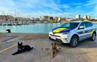 La Policia Local de Vinaròs fa un balanç 'positiu' de la unitat canina