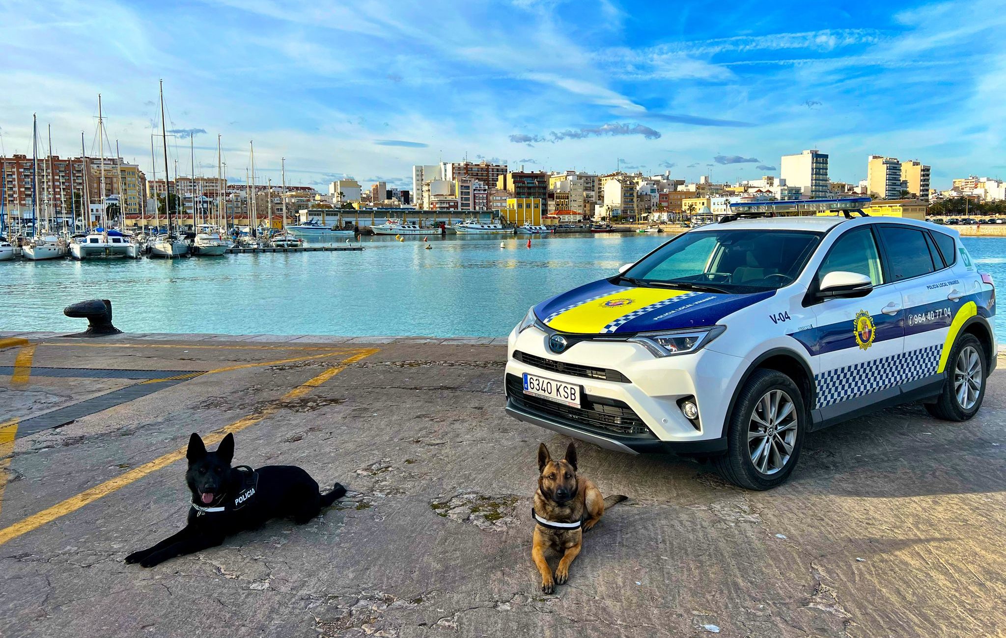 La Policia Local de Vinaròs fa un balanç 'positiu' de la unitat canina