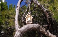 S’instal·len insectaris en els jardins municipals de Vinaròs
