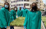 Marta Barrachina (PP) enalteix l'esforç dels agricultors en el cultiu de la D.O. Carxofa de Benicarló