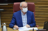 Aguado urgeix a les Corts a investigar per què el preu dels cítrics baixa en el camp i puja al consumidor