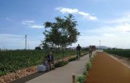Avança a Benicarló el procés participatiu per a ultimar el projecte de la Via Verda Litoral