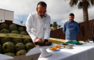 La carxofa i la trufa es fusionen per a promoure la gastronomia de Benicarló i Morella