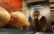 El Museu de Benicarló registra una afluència de quasi 24.000 visitants durant el 2021