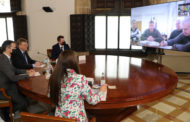 Puig es reuneix per videoconferència amb el Governador Civil d'Odessa, D. Serhiy Hrynevetsky