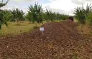 La nova norma permet transformar en compost fins a 150.000 tones de residus agroramaders a l'any