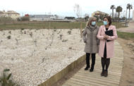 VISITA A LA REMODELACIÓ DEL PARC  DEL BARRANQUET DE BENICARLÓ 04-04-2022
