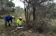 Els municipis amb plans i ordenances de cremes podran mantindre l'ús del foc per a eliminar les restes agrícoles
