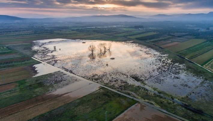 El Consell aprova la incorporació de la Llacuna de Sant Mateu al Catàleg de Zones Humides