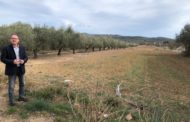 Llum verda al Pla Especial de reserva de sòl per a la primera fase del bulevard entre Alcalà i Alcossebre
