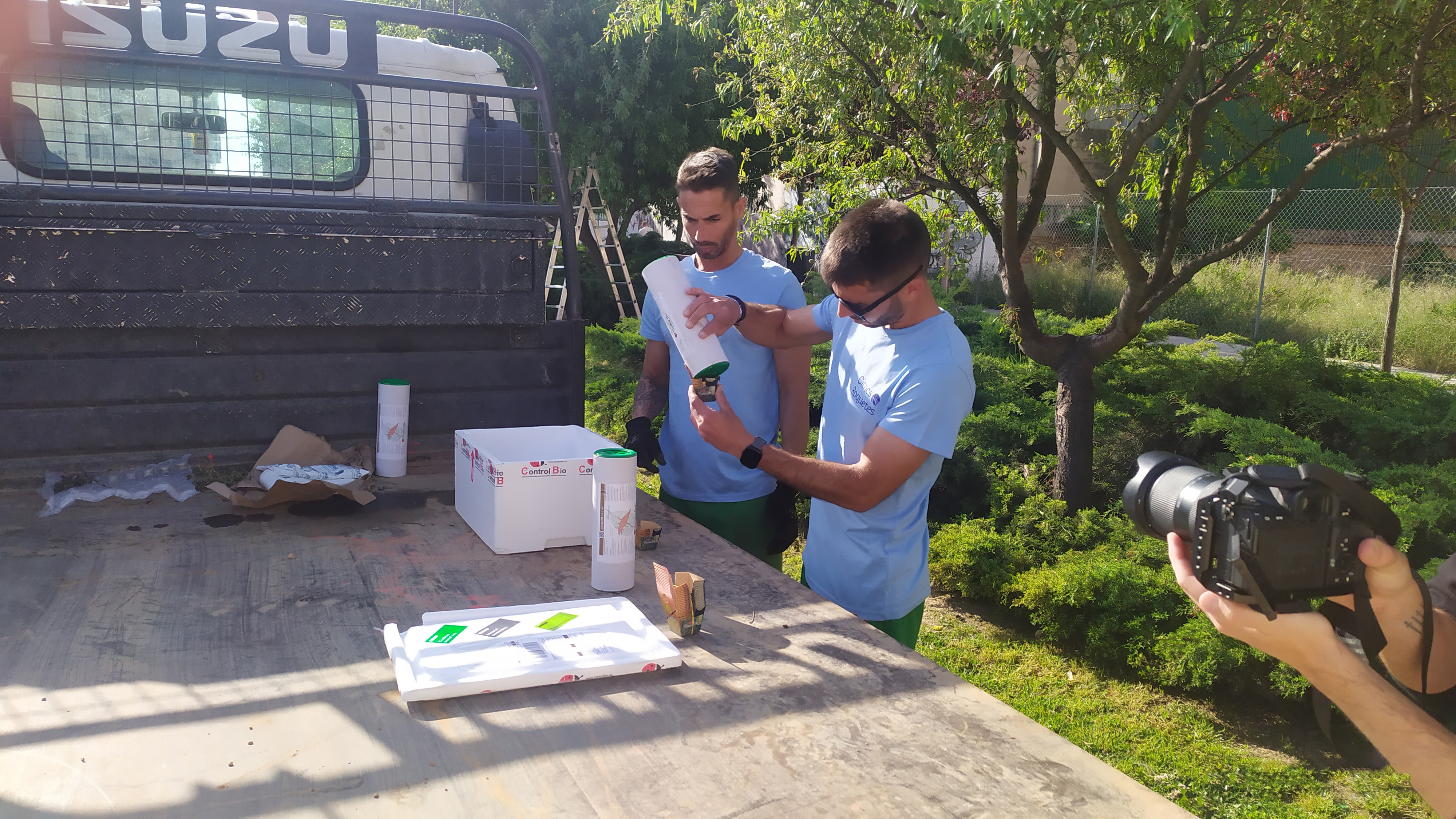 Vinaròs inicia un projecte pilot per a convertir els escocells en espais de biodiversitat