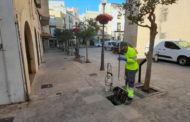 Els tractaments antimosquits s’intensifiquen a Vinaròs després de les pluges persistents