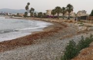 Compromís denuncia la falta d'interés del Ministeri en la costa de Benicarló perquè els projectes «no avancen»