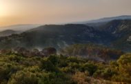 Els bombers extingeixen tres focus d'incendi a Bel i un altre més gran al Mas del Coll ja extingit per llampecs