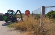 Vinaròs desbrossa les restes vegetals dels camins rurals