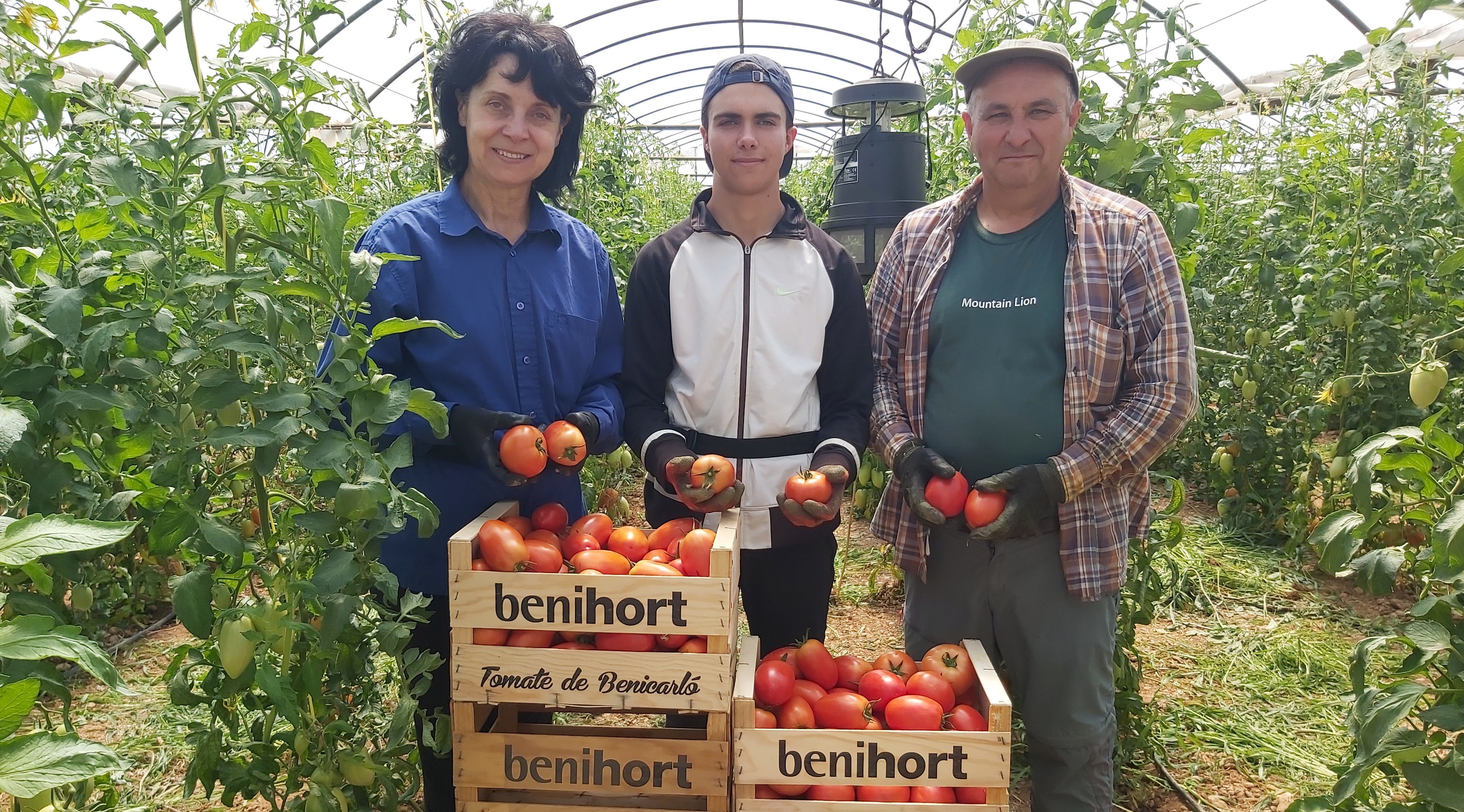Benihort afronta la seua campanya estival d'hortalisses amb bones perspectives
