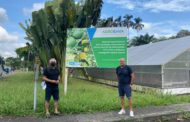 Benihort coneix la problemàtica dels cítrics llatinoamericans en un viatge d'Agriconsa a Colòmbia