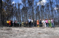 El Govern declararà zones especialment afectades per emergència tots els territoris damnificats pels grans incendis