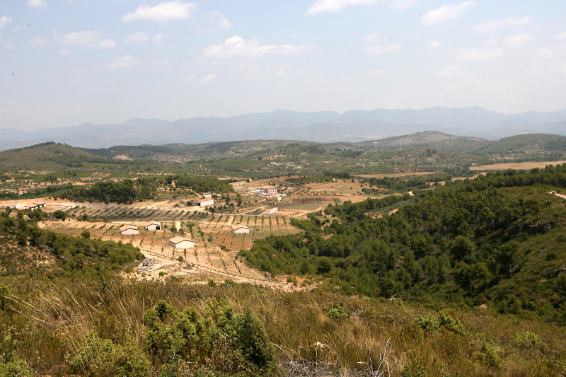 Agricultura crearà el distintiu «Producte Stop al Foc» per a promocionar els cultius del mosaic agroforestal
