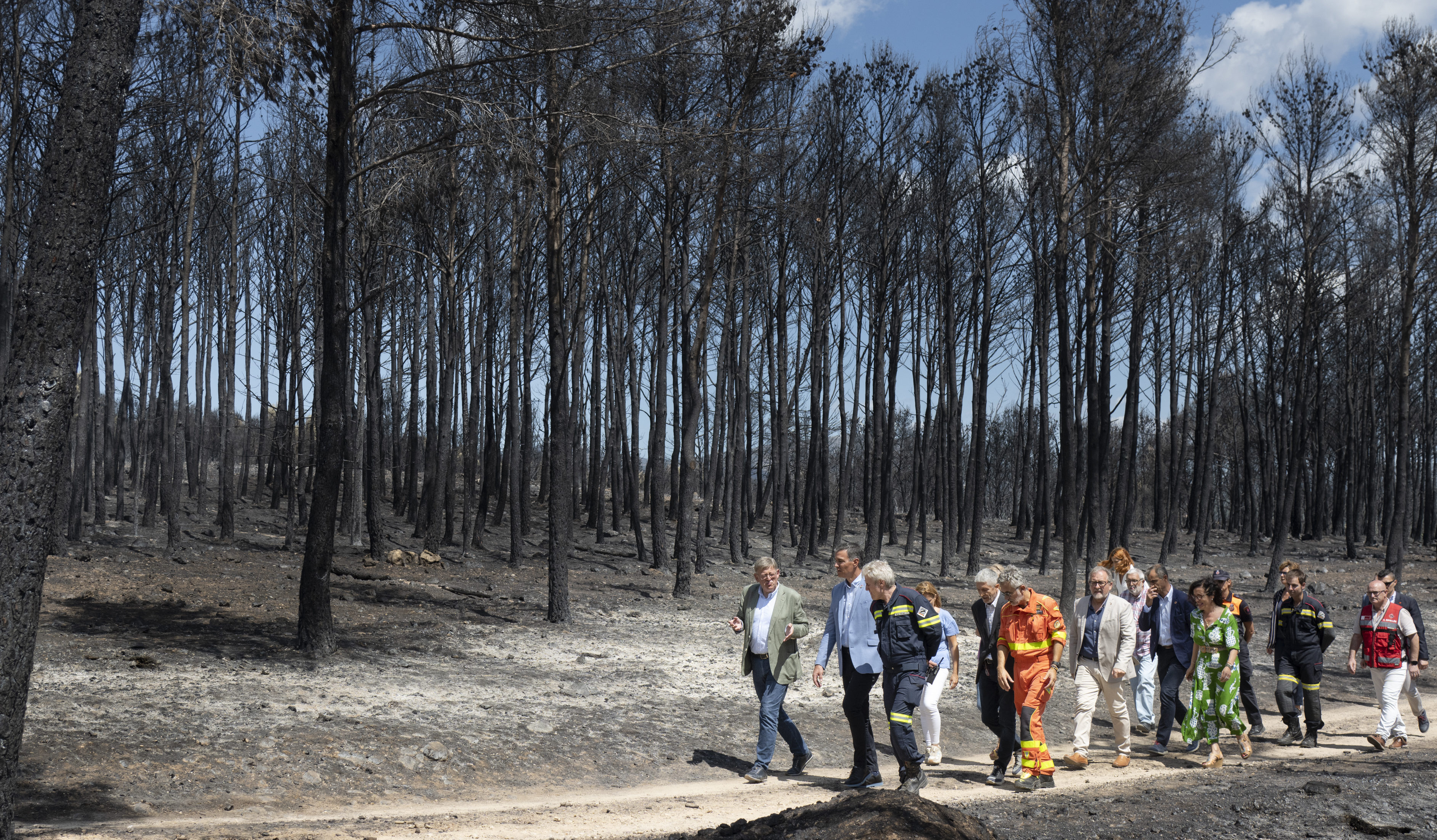 Puig advoca pel treball conjunt de les institucions per a «mirar cap avant» i «reconstruir» les zones afectades pels incendis