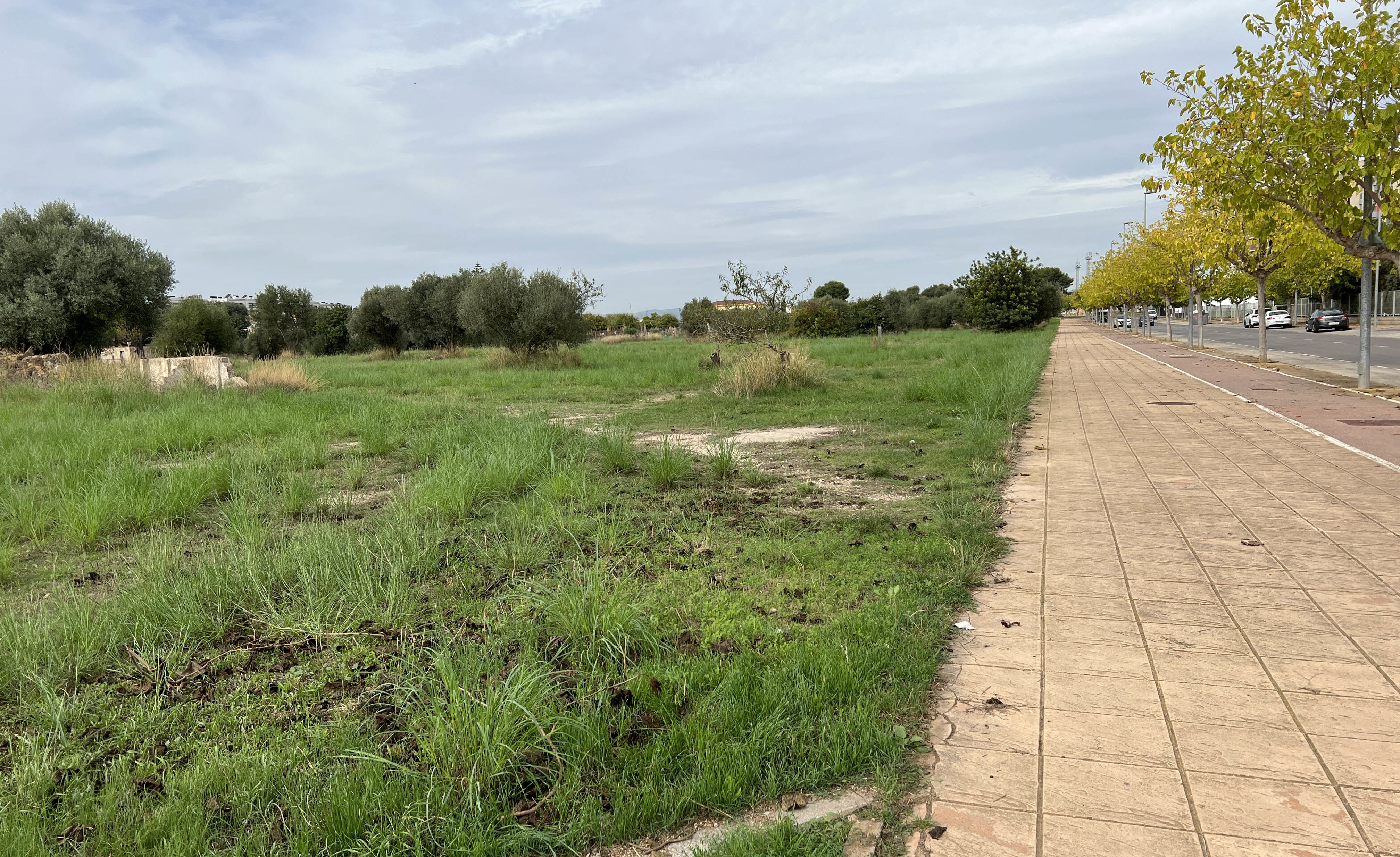 Vinaròs aconsegueix una subvenció de la Generalitat per a crear un parc verd de més de 12.000 m²