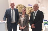 Benihort, referent de qualitat en la Fira Hortofructícola Fruit Attraction