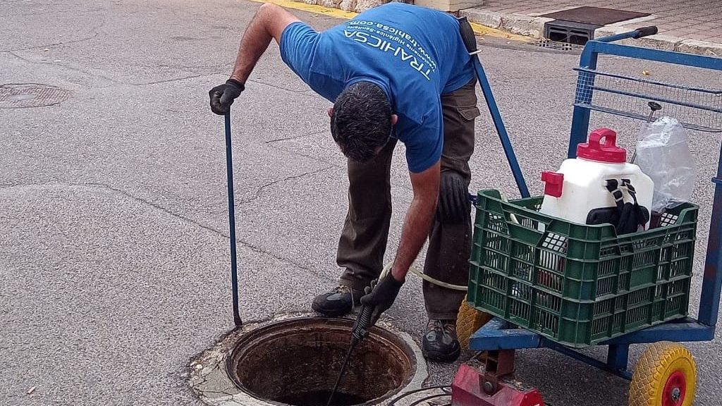Salzadella desinfecta i desinsecta el clavegueram per combatre la panerola