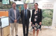 El ministre Planas i la consellera Mollà recolzen a la Carxofa de Benicarló en la Fira Fruit Attraction