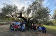Se celebra el IV Taller Transnacional VALSIPAM al Territori Sénia
