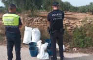 Realitzen 4 operacions amb detencions a Sant Jordi dins de la campanya contra el robatori de garrofes