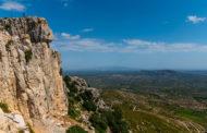 La Generalitat incrementa les ajudes per a reforestació en municipis en risc de despoblació