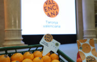 La Generalitat impulsa amb el sector la marca «Taronja Valenciana» per a reforçar la seua presència en els mercats