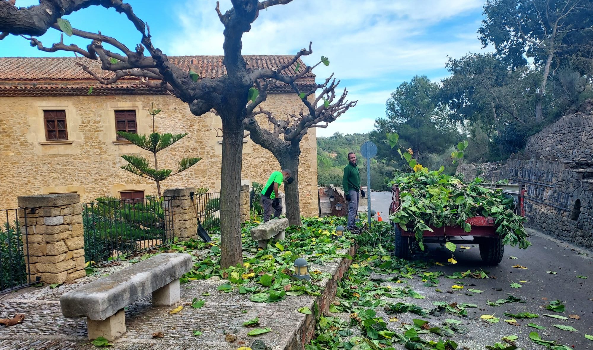 Comencen les tasques de poda dels arbres a Traiguera