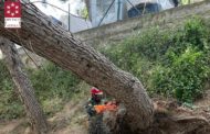 Els bombers retiren arbres a Sant Rafael del Riu i Alcalà de Xivert com a conseqüència del vent