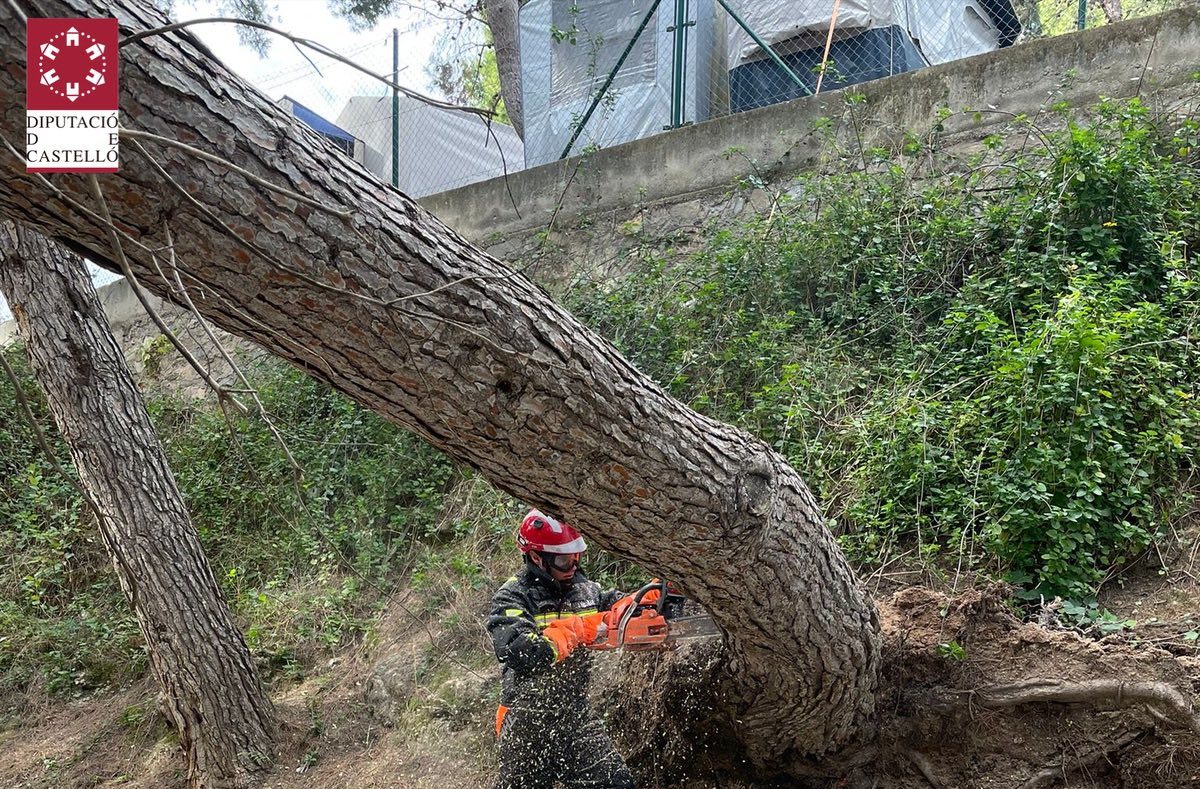 Els bombers retiren arbres a Sant Rafael del Riu i Alcalà de Xivert com a conseqüència del vent