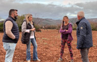 Marta Barrachina (PP) reclama suport i ajudes directes per a l'agricultura de l'interior