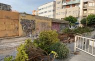 Compromís Benicarló lamenta la improvisació amb què s’inicien les obres com la del Mercat