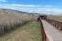 La DANA causa pèrdues superiors a 15 milions en l'agricultura de València i Castelló