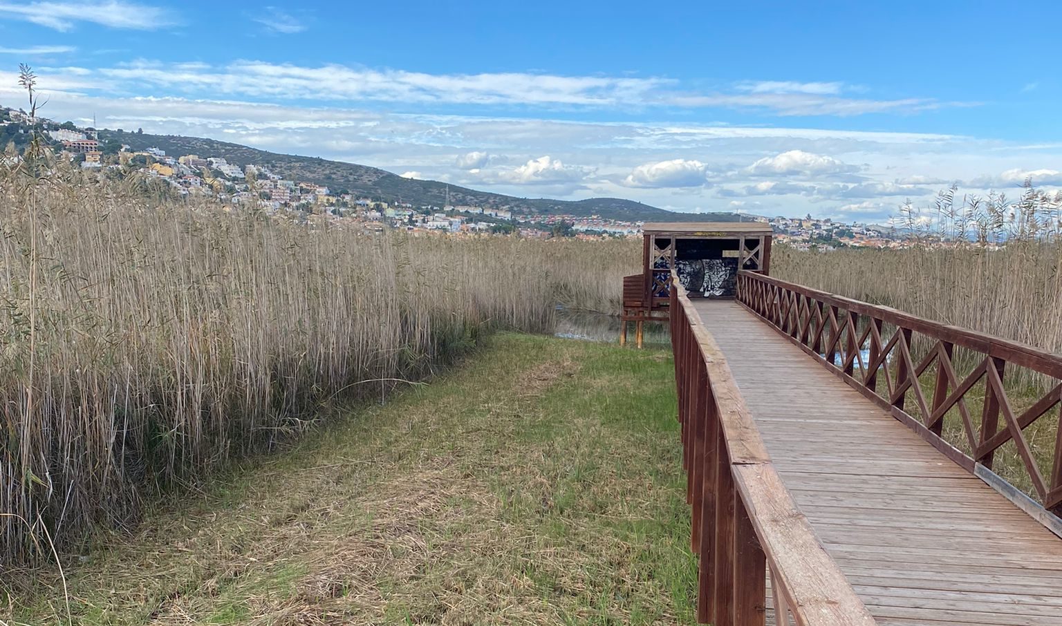Peníscola inicia les tasques de neteja a fons i dragatge de les séquies Sangonera i del Rei