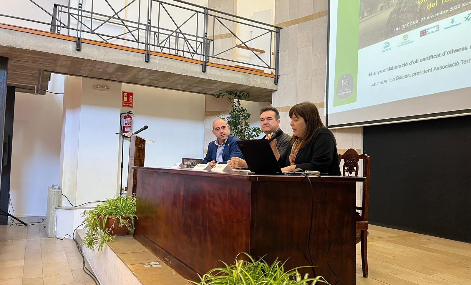 La Diputació defensa el potencial turístic de les oliveres mil·lenàries com a eina per a lluitar contra la despoblació